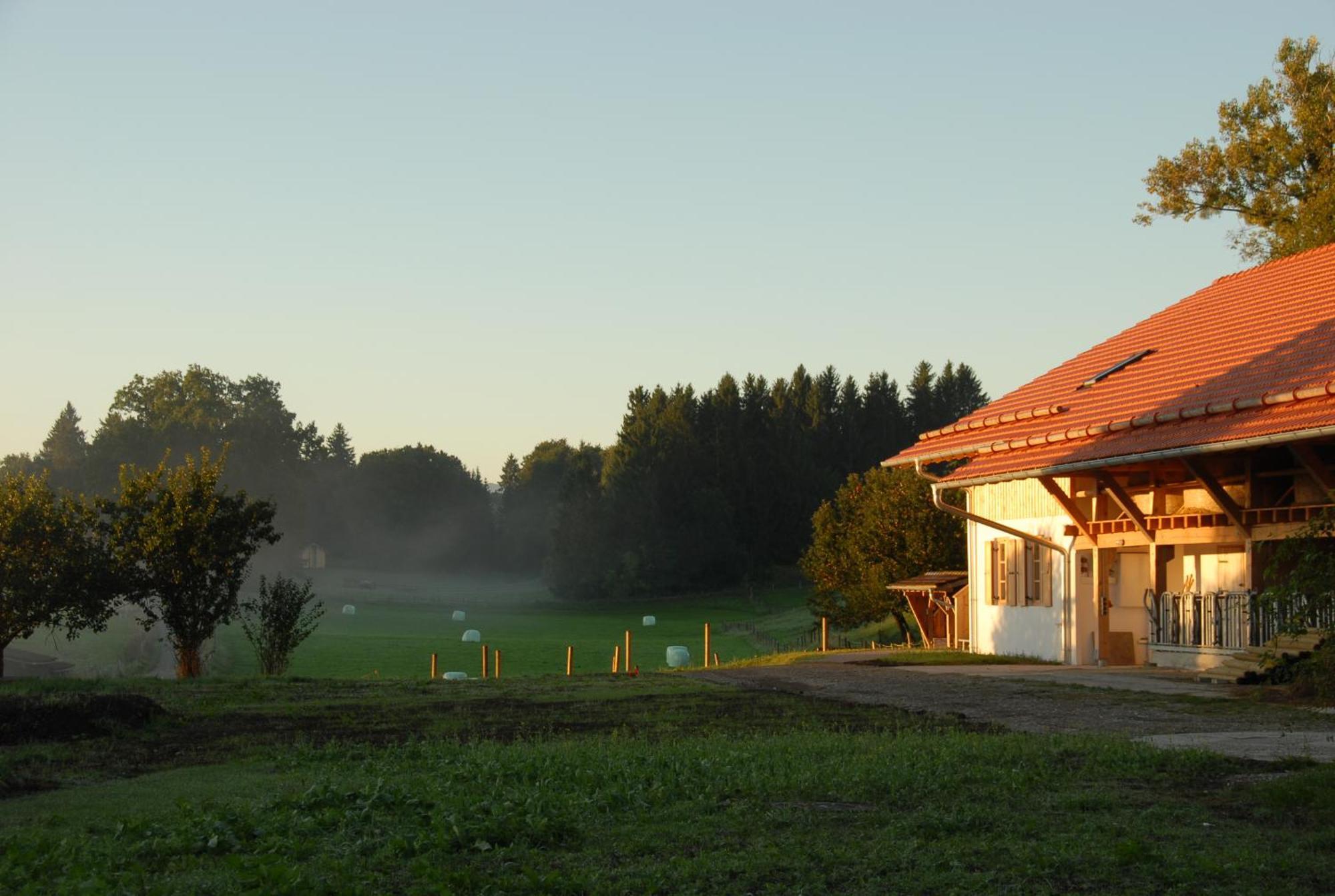 Zweilindenhof Ξενοδοχείο Seeshaupt Εξωτερικό φωτογραφία